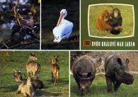 propagace dvur_kralove 414