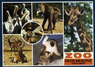 propagace dvur_kralove 428