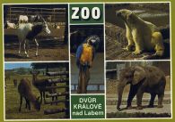 propagace dvur_kralove 431