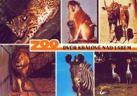 propagace dvur_kralove 436