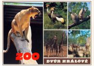 propagace dvur_kralove 438
