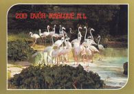 propagace dvur_kralove 441