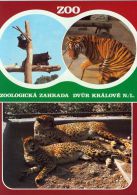 propagace dvur_kralove 1387