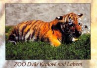 propagace dvur_kralove 462