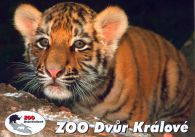 propagace dvur_kralove 532