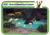 propagace dvur_kralove 443