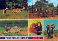 propagace dvur_kralove 437