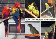 propagace dvur_kralove 500