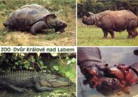 propagace dvur_kralove 498