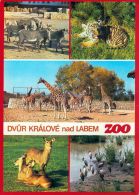propagace dvur_kralove 1393