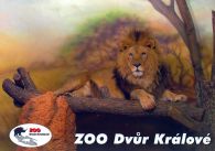 propagace dvur_kralove 529
