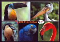 propagace dvur_kralove 517