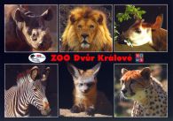 propagace dvur_kralove 513