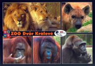 propagace dvur_kralove 518