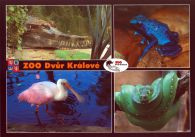propagace dvur_kralove 519