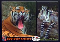 propagace dvur_kralove 520