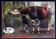 propagace dvur_kralove 548