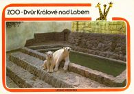 propagace dvur_kralove 442