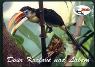 propagace dvur_kralove 492