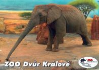 propagace dvur_kralove 541
