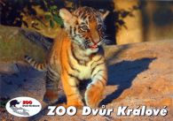 propagace dvur_kralove 533