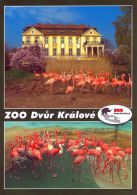 propagace dvur_kralove 1396