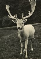 propagace dvur_kralove 356