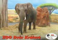 propagace dvur_kralove 542
