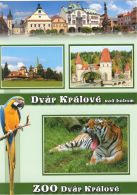 propagace dvur_kralove 1394