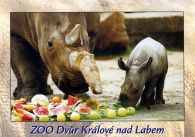 propagace dvur_kralove 465