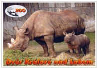 propagace dvur_kralove 545
