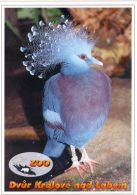 propagace dvur_kralove 1475