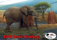 propagace dvur_kralove 544