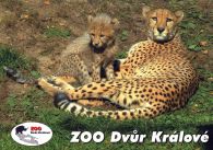 propagace dvur_kralove 536