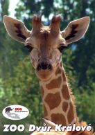 propagace dvur_kralove 1465