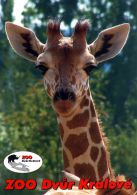 propagace dvur_kralove 1466