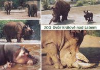 propagace dvur_kralove 499