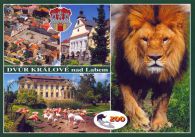 propagace dvur_kralove 501
