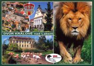 propagace dvur_kralove 502