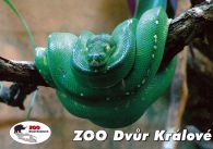 propagace dvur_kralove 552