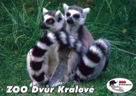propagace dvur_kralove 539