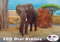 propagace dvur_kralove 543
