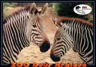 propagace dvur_kralove 550