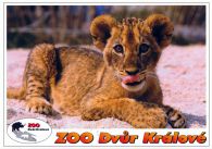 propagace dvur_kralove 554