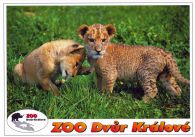 propagace dvur_kralove 556