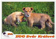 propagace dvur_kralove 557