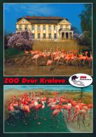 propagace dvur_kralove 1397