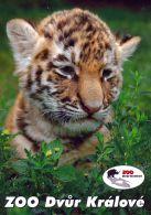 propagace dvur_kralove 1445
