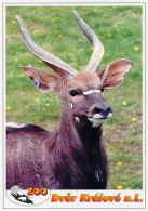 propagace dvur_kralove 1473