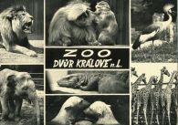 propagace dvur_kralove 238